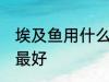 埃及鱼用什么钓最好 埃及鱼用哪种钓最好
