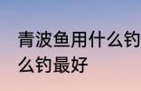 青波鱼用什么钓最好 冬季清波鱼用什么钓最好