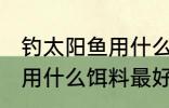 钓太阳鱼用什么饵最好 钓太阳鱼一般用什么饵料最好
