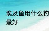 埃及鱼用什么钓最好 埃及鱼用哪种钓最好