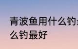 青波鱼用什么钓最好 冬季清波鱼用什么钓最好