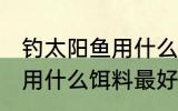 钓太阳鱼用什么饵最好 钓太阳鱼一般用什么饵料最好