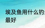 埃及鱼用什么钓最好 埃及鱼用哪种钓最好
