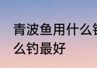 青波鱼用什么钓最好 冬季清波鱼用什么钓最好