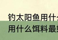 钓太阳鱼用什么饵最好 钓太阳鱼一般用什么饵料最好