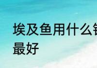 埃及鱼用什么钓最好 埃及鱼用哪种钓最好