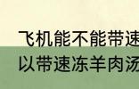 飞机能不能带速冻羊肉汤 飞机可不可以带速冻羊肉汤