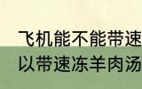 飞机能不能带速冻羊肉汤 飞机可不可以带速冻羊肉汤