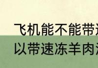 飞机能不能带速冻羊肉汤 飞机可不可以带速冻羊肉汤