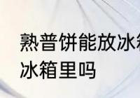 熟普饼能放冰箱保存吗 普洱茶饼能放冰箱里吗