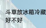 斗草放冰箱冷藏好吗 斗草放冰箱冷藏好不好