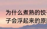 为什么煮熟的饺子会浮起来 煮熟的饺子会浮起来的原因