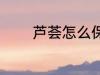 芦荟怎么保存 芦荟如何保存