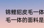 锦鲤貂皮毛一体是什么面料 锦鲤貂皮毛一体的面料是哪种面料