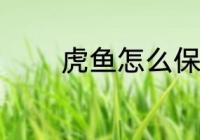 虎鱼怎么保鲜 虎鱼如何保鲜