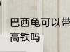 巴西龟可以带上高铁吗 巴西龟能带上高铁吗