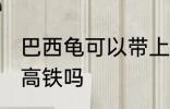 巴西龟可以带上高铁吗 巴西龟能带上高铁吗