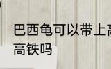巴西龟可以带上高铁吗 巴西龟能带上高铁吗