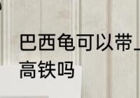 巴西龟可以带上高铁吗 巴西龟能带上高铁吗