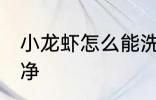 小龙虾怎么能洗干净 小龙虾如何洗干净