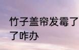 竹子盖帘发霉了怎么办 竹子盖帘发霉了咋办