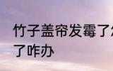 竹子盖帘发霉了怎么办 竹子盖帘发霉了咋办