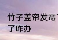 竹子盖帘发霉了怎么办 竹子盖帘发霉了咋办