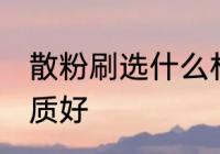 散粉刷选什么材质好 散粉刷选哪种材质好