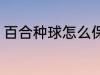 百合种球怎么保存 百合种球如何保存