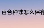 百合种球怎么保存 百合种球如何保存