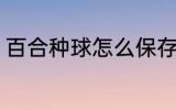 百合种球怎么保存 百合种球如何保存