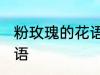 粉玫瑰的花语是什么 粉玫瑰有什么花语