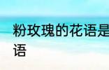 粉玫瑰的花语是什么 粉玫瑰有什么花语