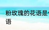 粉玫瑰的花语是什么 粉玫瑰有什么花语