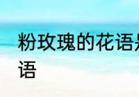 粉玫瑰的花语是什么 粉玫瑰有什么花语
