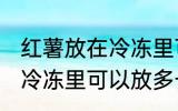 红薯放在冷冻里可以放多久 红薯放在冷冻里可以放多长时间